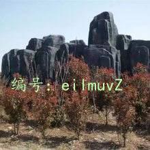 ޿